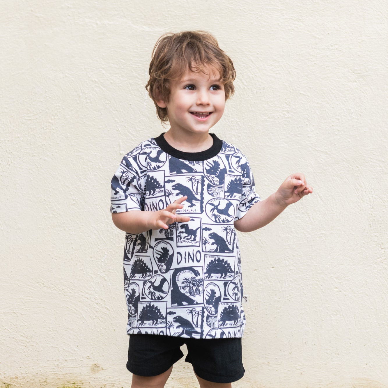 Camiseta Dinosaurios